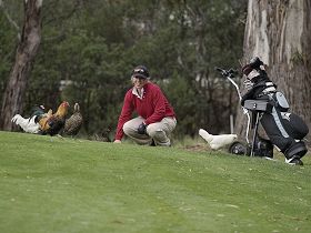 Tasmania Golf Club - The - Accommodation Ballina 0
