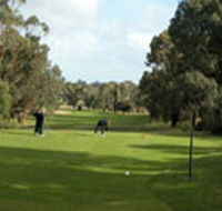 Mount Gambier Golf Club - Accommodation Ballina