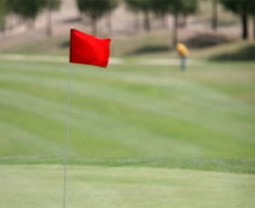 Gold Creek Country Club - Accommodation Ballina 0