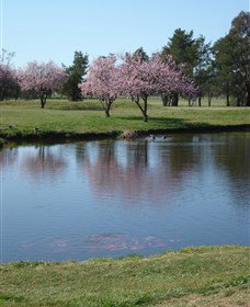 RMC Golf Club - Accommodation Ballina 0