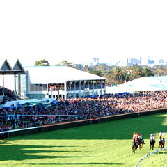 South Australian Jockey Club - Accommodation Ballina 0