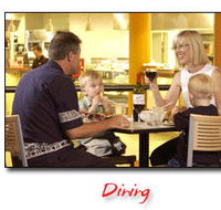 Steelers Club - Accommodation Ballina