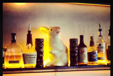 Hairy Canary - Accommodation Ballina 0