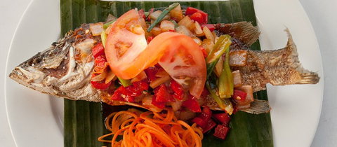 The Thai And I - Accommodation Ballina 2