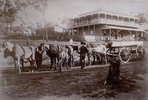 Grand Hotel Many Peaks - Accommodation Ballina 3