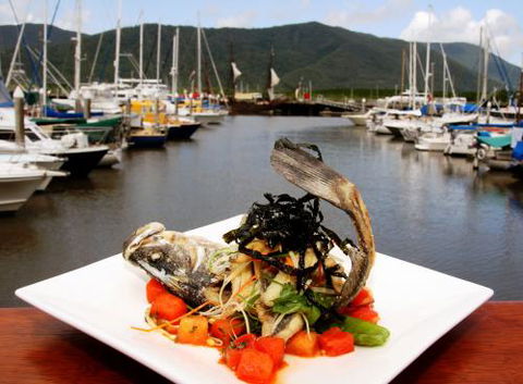 Tha Fish - Accommodation Ballina 0