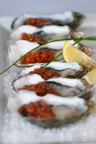 Tha Fish - Accommodation Ballina 1