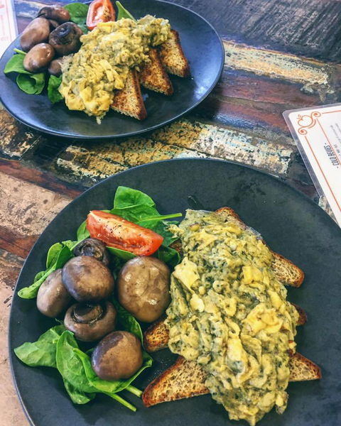 Pantry 15 - Accommodation Ballina 1
