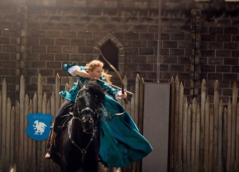 Baroque Horse Festival - Accommodation Ballina 0