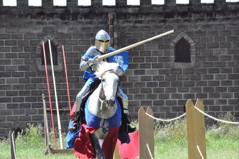 Baroque Horse Festival - Accommodation Ballina 1