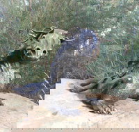 Bathurst Arts Trail - Accommodation Ballina