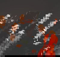 Eggner Trio  Diana Doherty - Accommodation Ballina