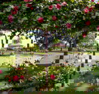 Griffith Spring Fest