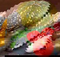 Lismore Organic Market - Accommodation Ballina