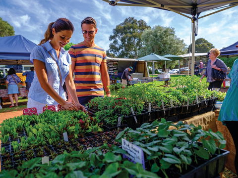Margaret River Farmers Market - Accommodation Ballina 1