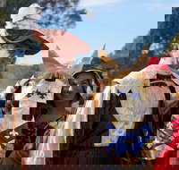 Newbridge Winter Solstice Festival - Accommodation Ballina