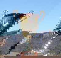 Nimbin Poetry World Cup - Accommodation Ballina