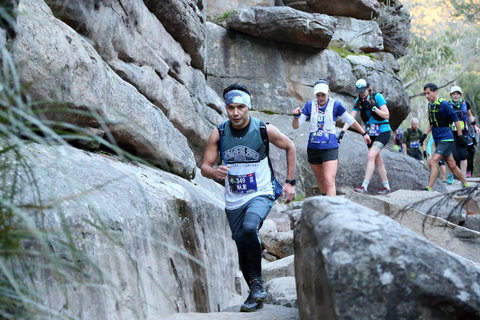 Wonderland Run - Accommodation Ballina 1