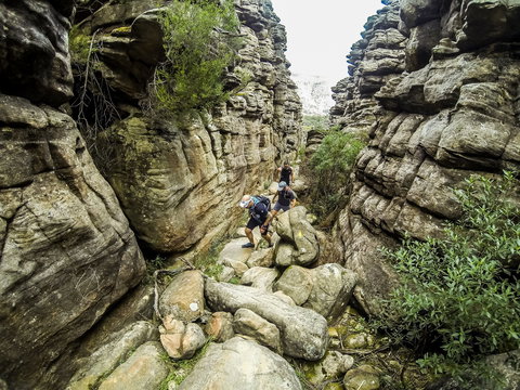 Wonderland Run - Accommodation Ballina 2