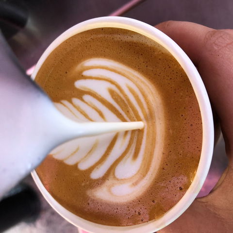 Yamba Farmers And Producers Market - Accommodation Ballina 2