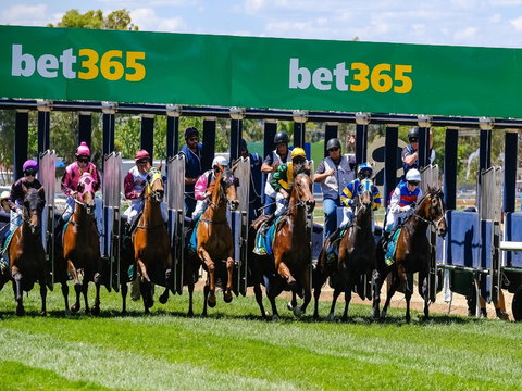 Bet 365 Caulfield Cup Day At Wodonga Race Course - Accommodation Ballina 1