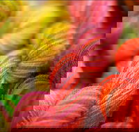 Creative Fibre - Accommodation Ballina