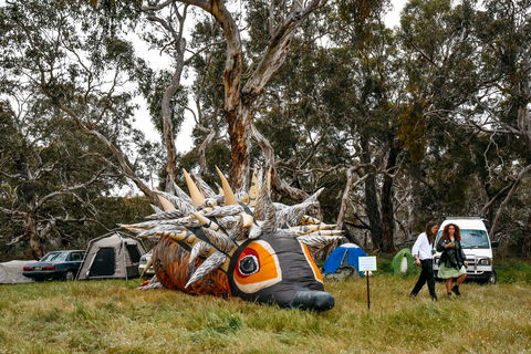 Field Good Festival - Accommodation Ballina 2