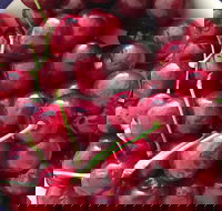 Griffith Rotary Market