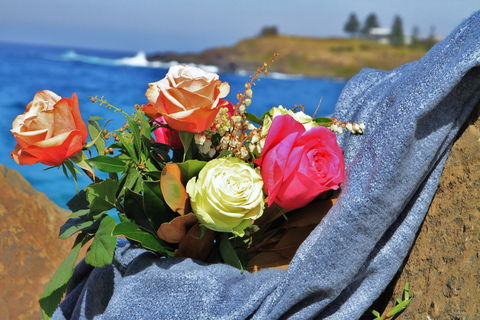 Roses By The Seaside: National Rose Championships And Conference - Accommodation Ballina 0