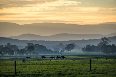 Rotary Club Of Maffra Community Market - Accommodation Ballina 0