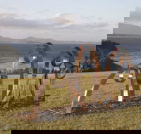 Sculpture Bermagui - Accommodation Ballina