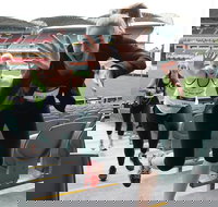 Stadium Stomp Adelaide Oval - Postponed - Accommodation Ballina