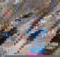 Summit Shoalhaven - Accommodation Ballina