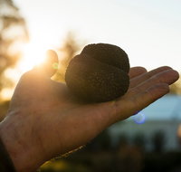 The Truffle Festival - Canberra Region