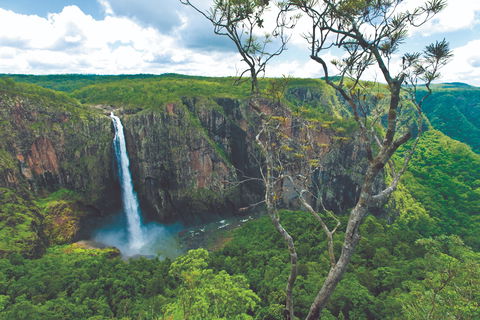 The Garden Clubs Of Australia Inc AGM And Biennial Convention 2021 - Accommodation Ballina 1