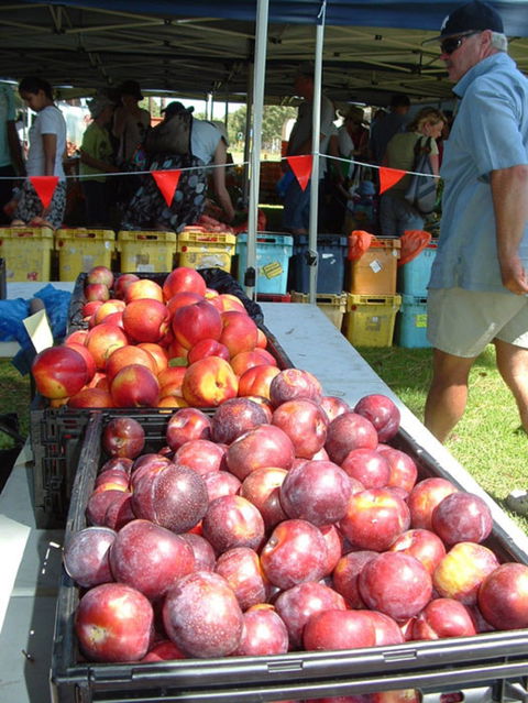 The Farmers Market On Manning - Accommodation Ballina 0