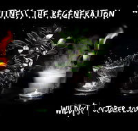 Wildfest - Annual Festival - Accommodation Ballina