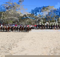 Australian Campdraft Association National Finals Campdraft 2021 - Accommodation Ballina
