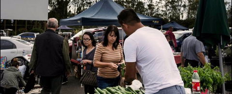 Blacktown Markets - Accommodation Ballina 0