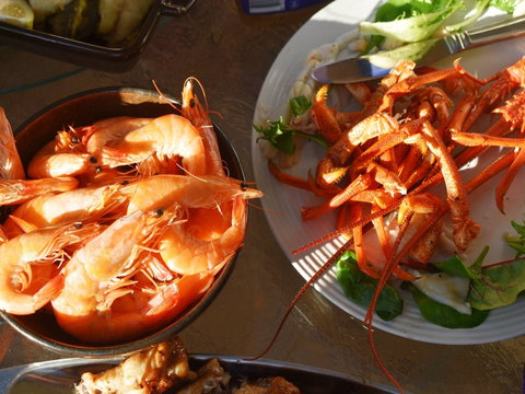 Cape Jaffa Food And Wine Festival - Accommodation Ballina 0