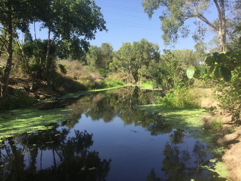 Conservation Volunteers Australia Townsville - Creekwatch - Accommodation Ballina 0