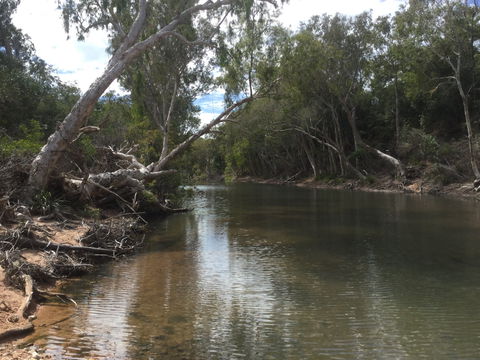 Conservation Volunteers Australia Townsville - Creekwatch - Accommodation Ballina 2