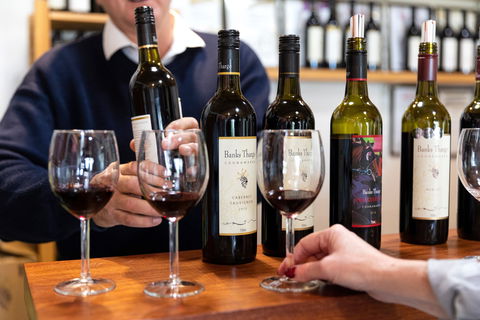 Coonawarra Cellar Dwellers - Accommodation Ballina 2