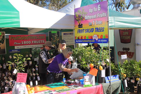 CRT FarmFest - Accommodation Ballina 2