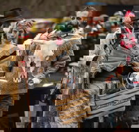 Feast of the Beast - Accommodation Ballina