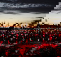 Field of Light Uluru - Accommodation Ballina