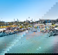 Fred Williams Aquatic Festival - Accommodation Ballina