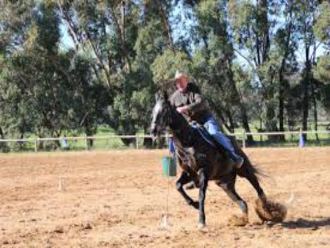 Glen William Gymkhana - Accommodation Ballina 1