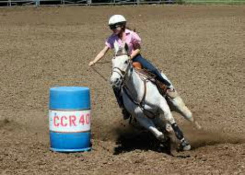 Glen William Gymkhana - Accommodation Ballina 2