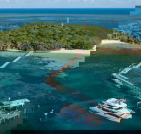 Great Adventures Green Island Ocean Swim - Accommodation Ballina